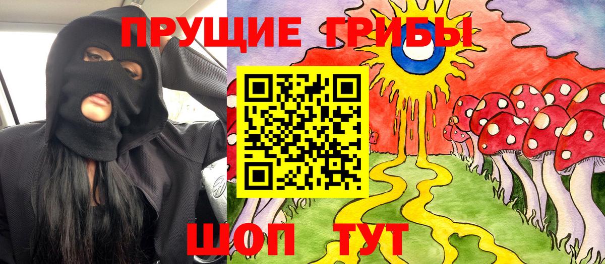 Ставрополь  Галлюциногенные грибы Cubensis  Вход с VPN 